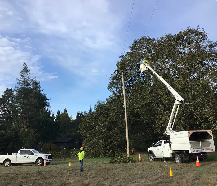 tree_trimming_bucket_truck workers-loading-compressor