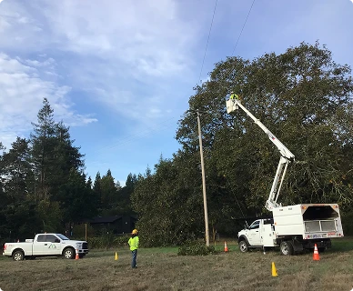 workers-loading-truck